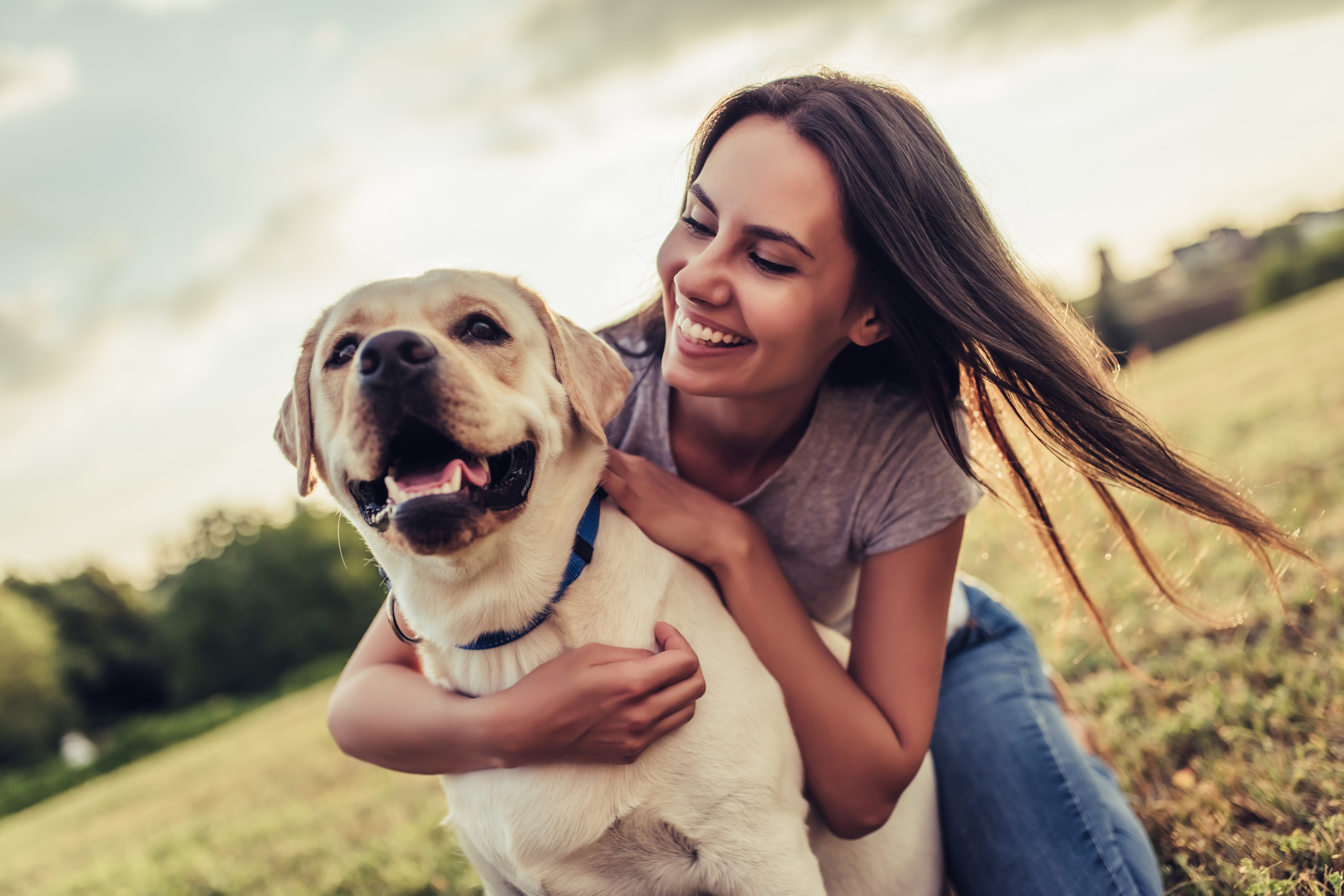 Young woman with labrador outdoors. Woman on a green grass with dog labrador retriever.