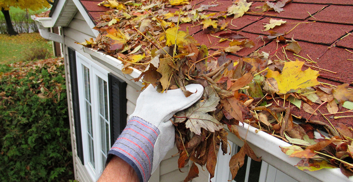 roof-tips