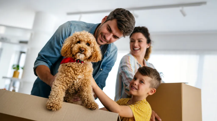 may-2025-pet-article
