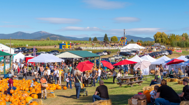 Locals at a pumpkin patch.