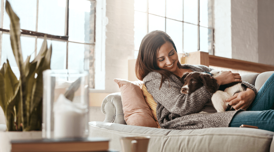 may-2026-pet-article